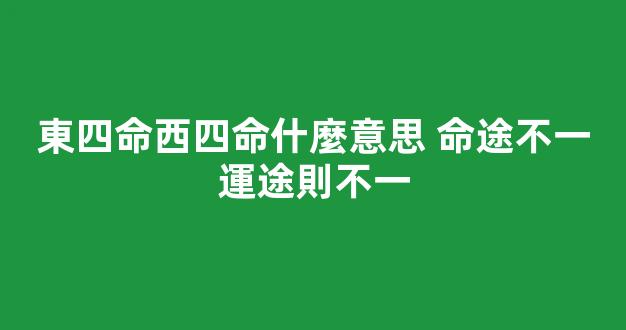 東四命西四命什麼意思 命途不一運途則不一